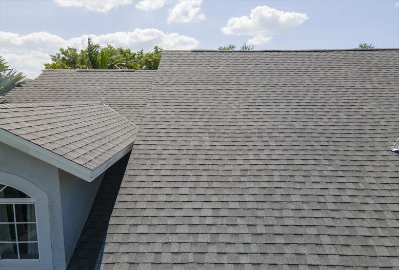Shingle Roof
