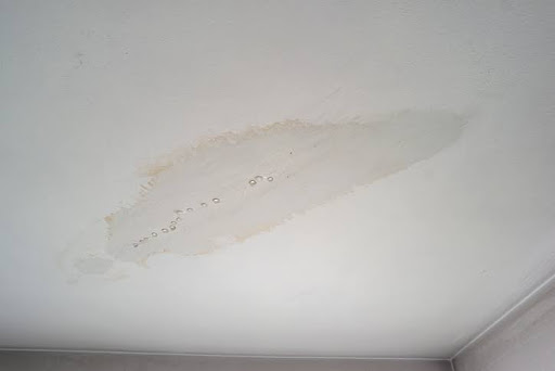 Water Stains on Ceilings