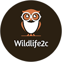 Brenda profile picture